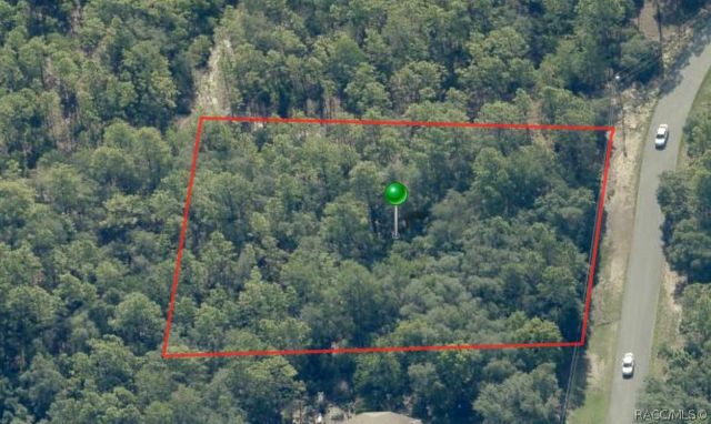 5117 N Wayne Drive, Beverly Hills, FL 34465