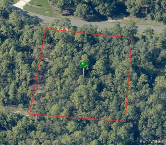 5117 N Wayne Drive, Beverly Hills, FL 34465