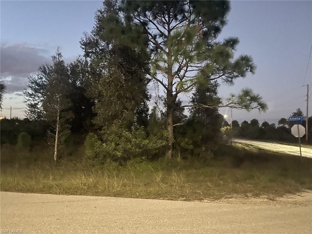 755 Amelia (corner Lot) ST E, LEHIGH ACRES, FL 33974 — exterior