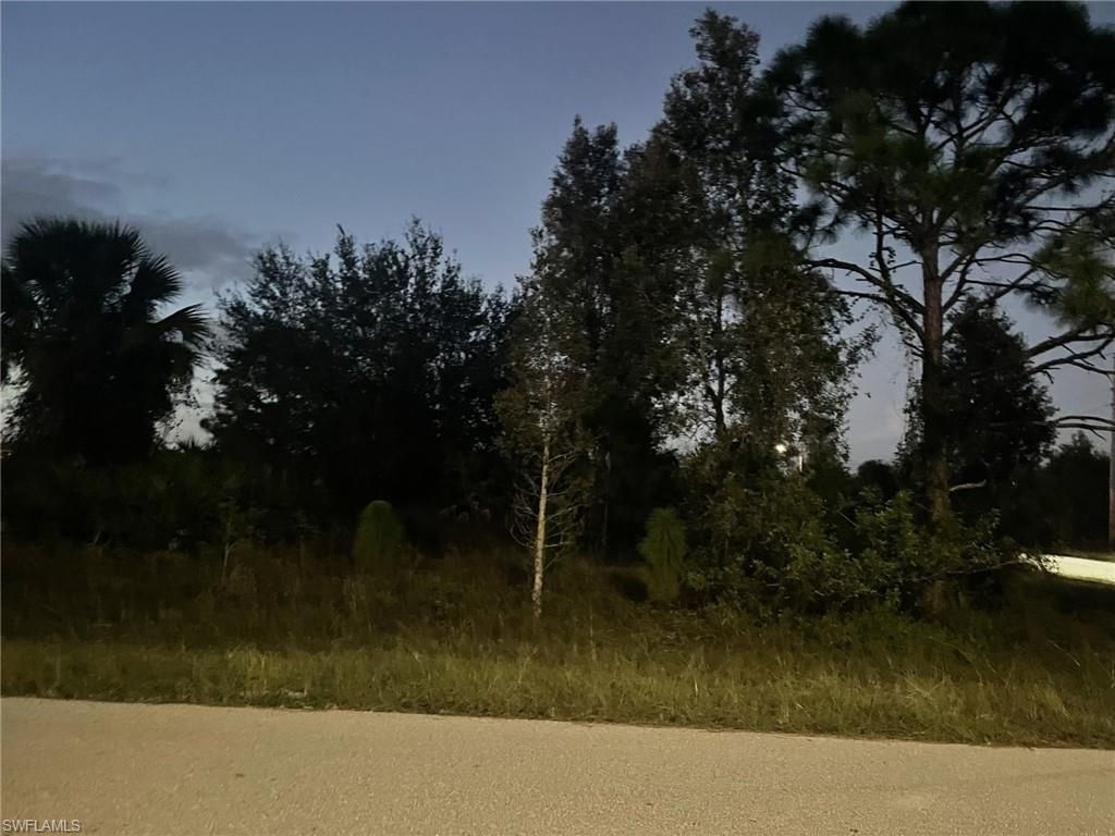 755 Amelia (corner Lot) ST E, LEHIGH ACRES, FL 33974 — photo 3