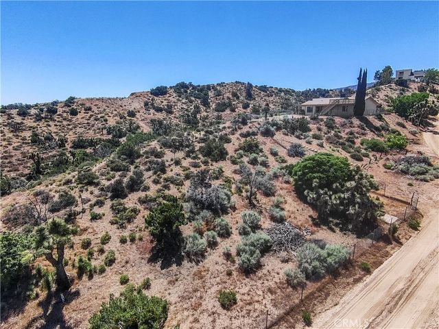 8451 Zohra Canyon Rd, Pinon Hills, CA 92372