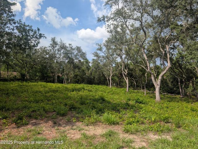 0 Merlin Circle, Ridge Manor, FL 33523