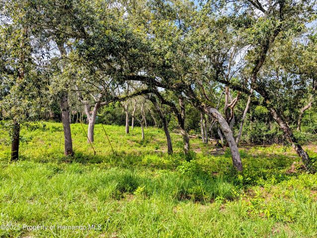 0 Merlin Circle, Ridge Manor, FL 33523