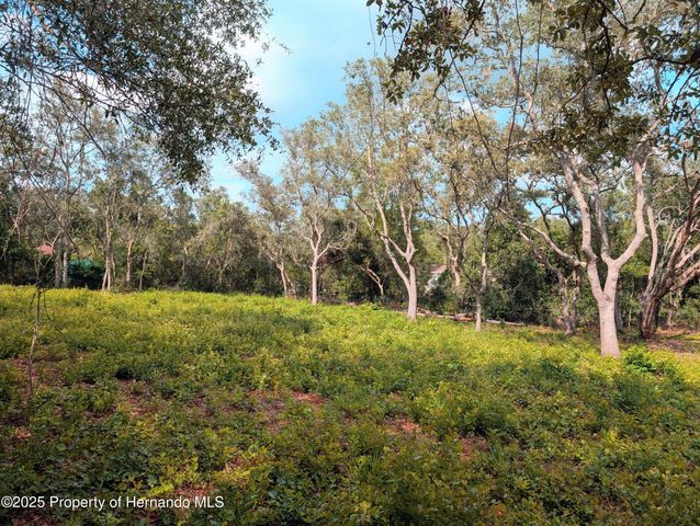 0 Merlin Circle, Ridge Manor, FL 33523