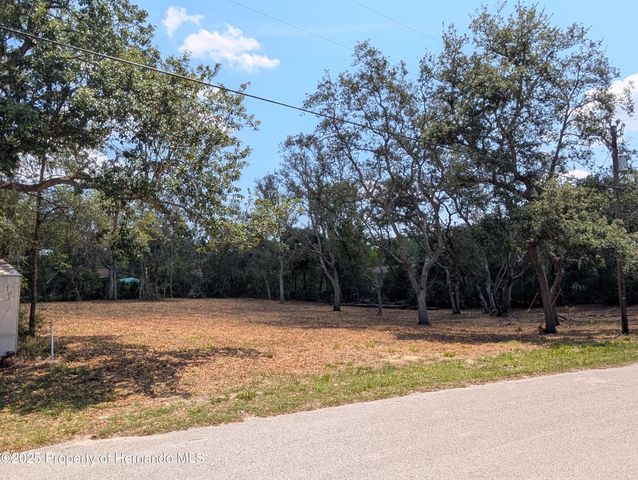 0 Merlin Circle, Ridge Manor, FL 33523