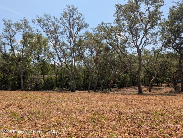 0 Merlin Circle, Ridge Manor, FL 33523