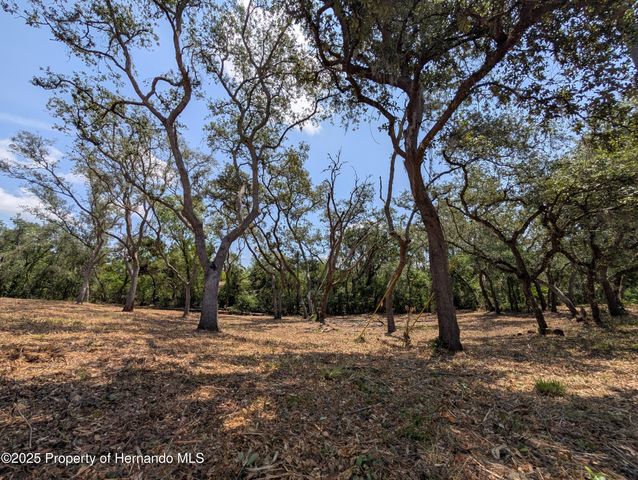 0 Merlin Circle, Ridge Manor, FL 33523