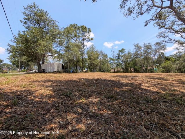 0 Merlin Circle, Ridge Manor, FL 33523