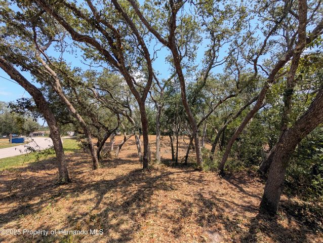 0 Merlin Circle, Ridge Manor, FL 33523