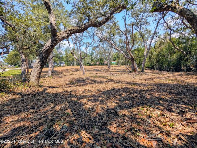 0 Merlin Circle, Ridge Manor, FL 33523