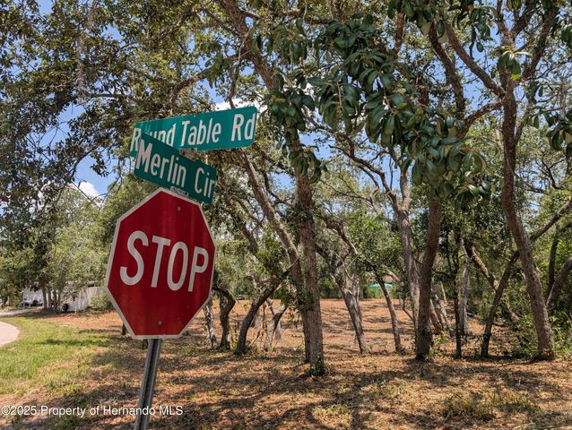 0 Merlin Circle, Ridge Manor, FL 33523