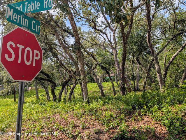 0 Merlin Circle, Ridge Manor, FL 33523