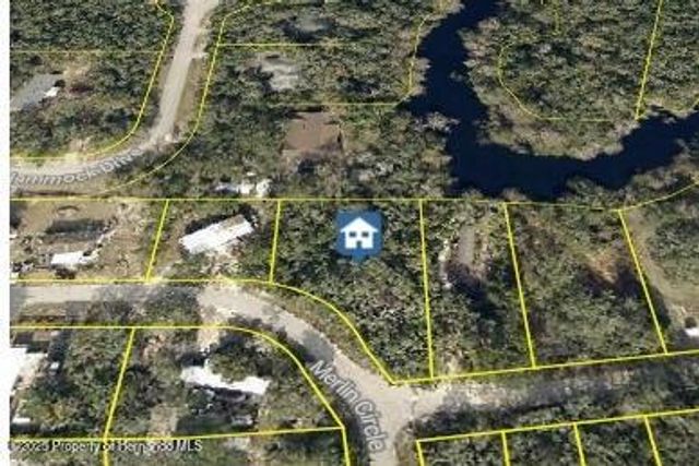 0 Merlin Circle, Ridge Manor, FL 33523