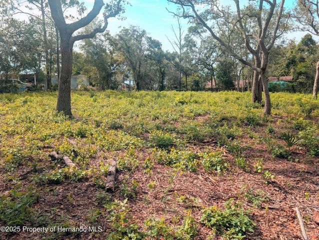 0 Merlin Circle, Ridge Manor, FL 33523