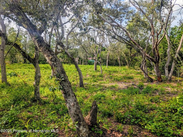 0 Merlin Circle, Ridge Manor, FL 33523