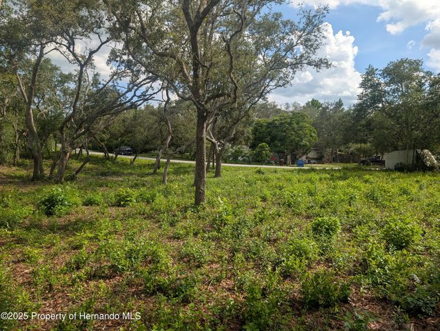 0 Merlin Circle, Ridge Manor, FL 33523