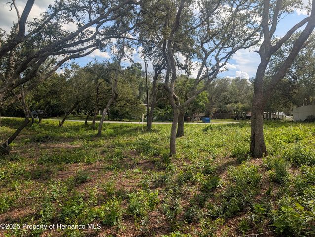 0 Merlin Circle, Ridge Manor, FL 33523