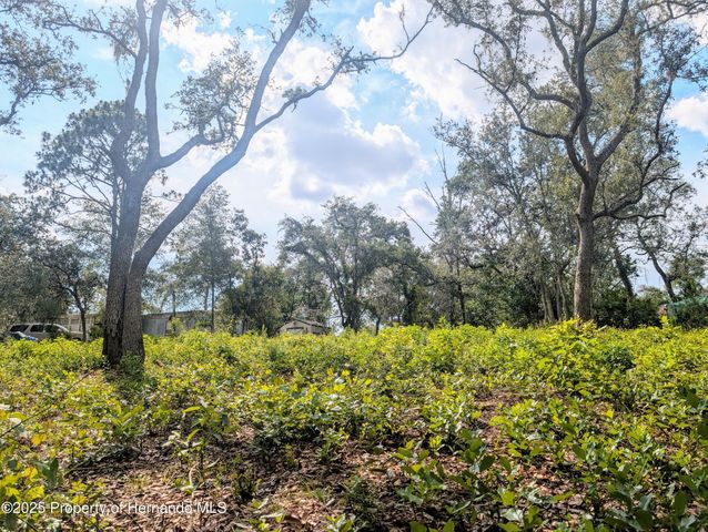 0 Merlin Circle, Ridge Manor, FL 33523