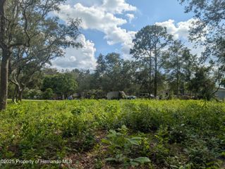 0 Merlin Circle, Ridge Manor, FL 33523