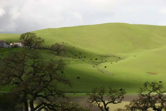 3263 Sleeping Meadow Way, San Ramon, CA 94582