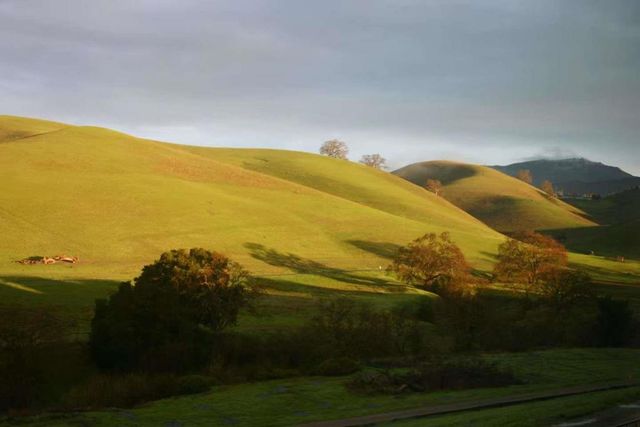 3263 Sleeping Meadow Way, San Ramon, CA 94582