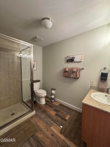 124 Plaza Drive, Pigeon Forge, TN 37863