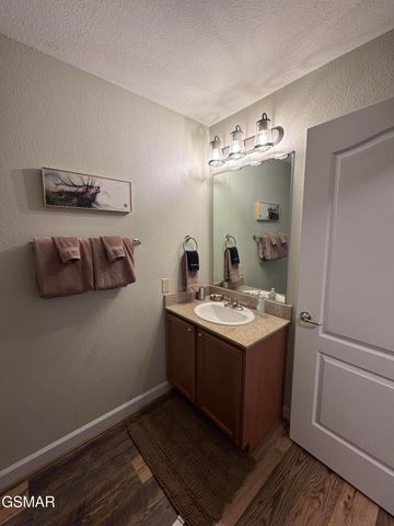 124 Plaza Drive, Pigeon Forge, TN 37863