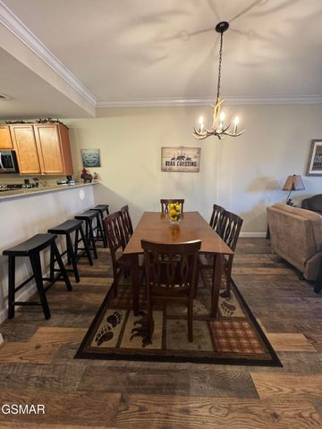 124 Plaza Drive, Pigeon Forge, TN 37863