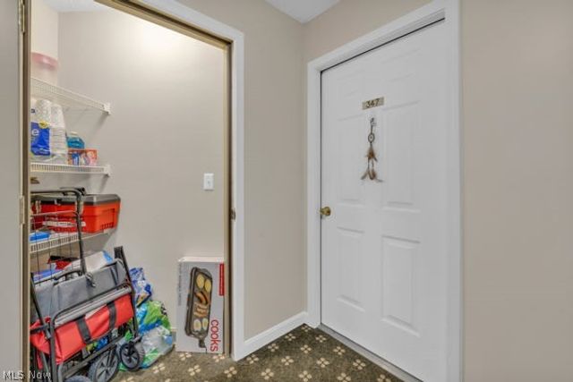 23004 Chandlers Lane 347, Olmsted Falls, OH 44138