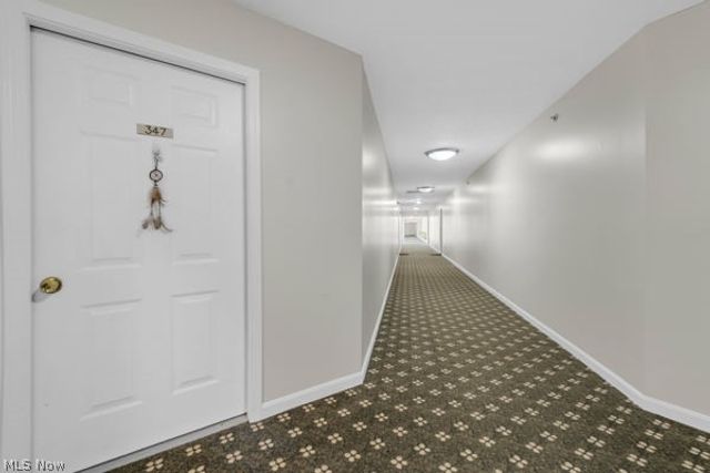 23004 Chandlers Lane 347, Olmsted Falls, OH 44138