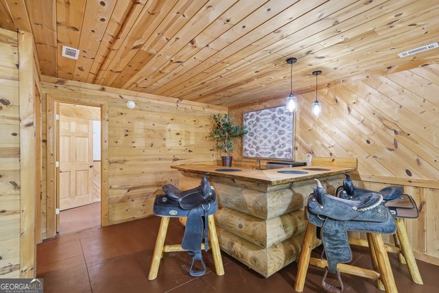 114 Arapaho Walk, Mineral Bluff, GA 30559