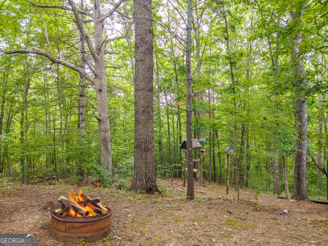 114 Arapaho Walk, Mineral Bluff, GA 30559