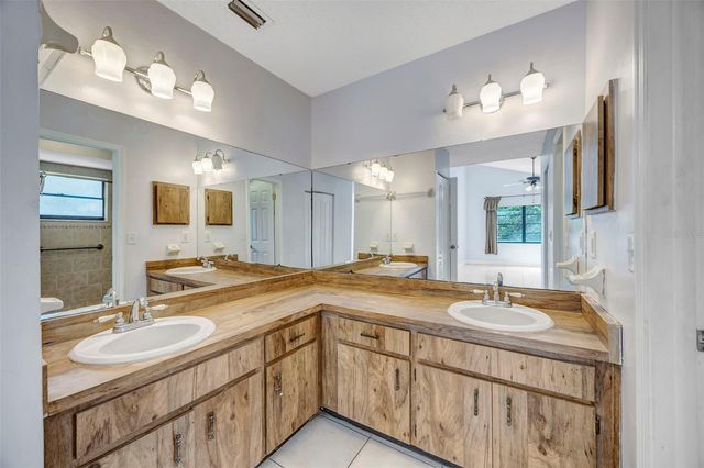 15804 IRONWARE PLACE, Tampa, FL 33624