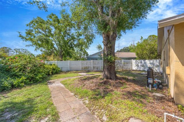 15804 IRONWARE PLACE, Tampa, FL 33624