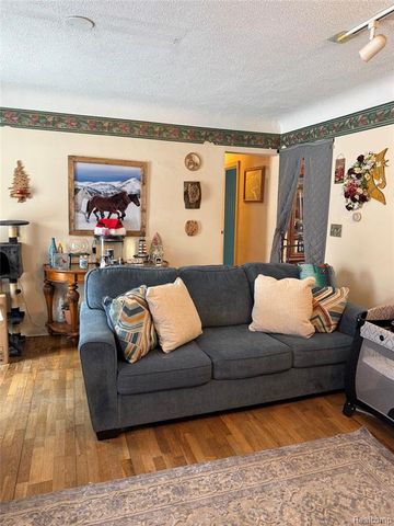 766 Louisa Street, Mount Morris, MI 48458