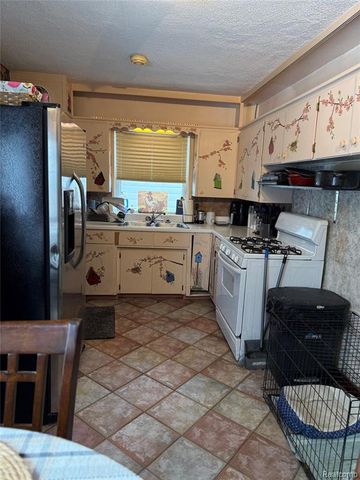 766 Louisa Street, Mount Morris, MI 48458