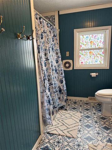 766 Louisa Street, Mount Morris, MI 48458