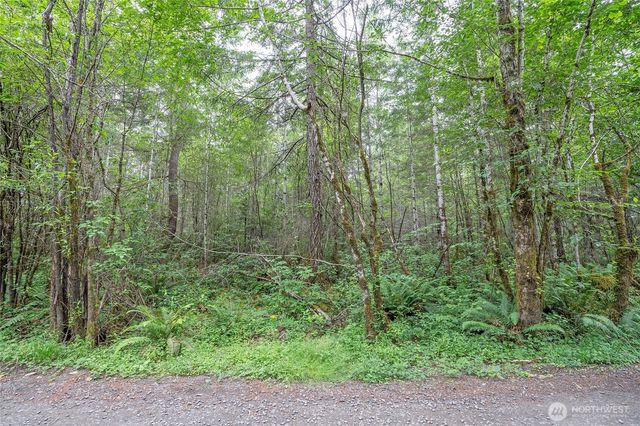 0 E Tepee Lane, Belfair, WA 98528