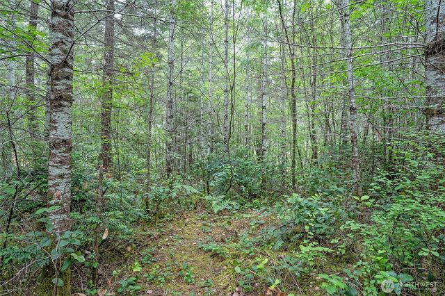 0 E Tepee Lane, Belfair, WA 98528