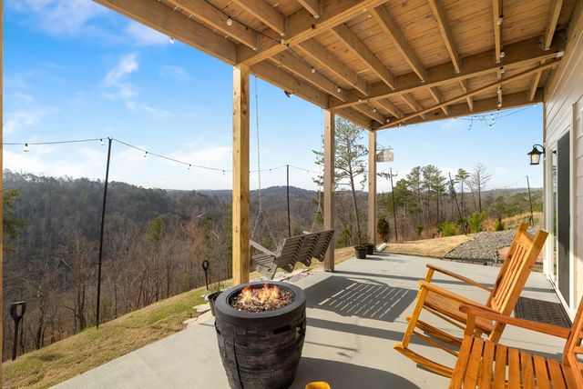 497 S Jakes Landing Way, Ellijay, GA 30540