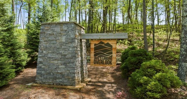 497 S Jakes Landing Way, Ellijay, GA 30540