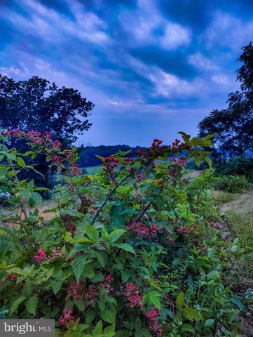 8396 RIXEYVILLE RD, Rixeyville, VA 22737
