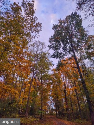 8396 RIXEYVILLE RD, Rixeyville, VA 22737