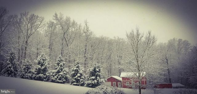 8396 RIXEYVILLE RD, Rixeyville, VA 22737
