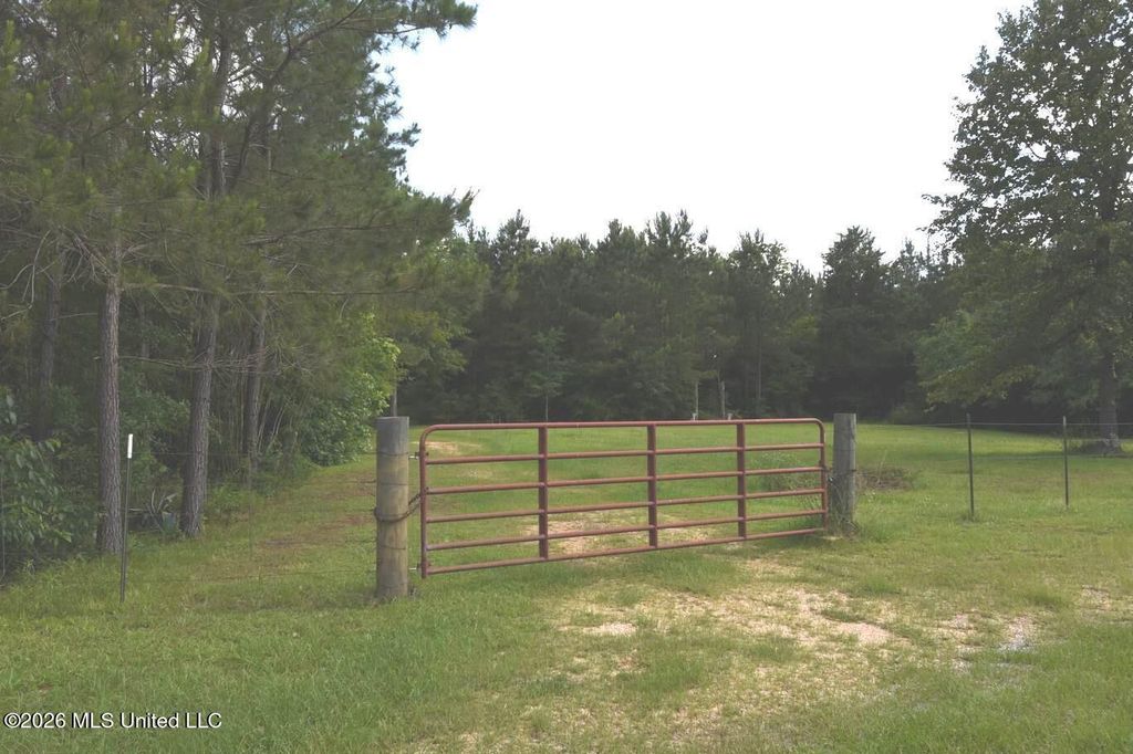 00 Miller Road, Columbia, MS 39429 — photo 3