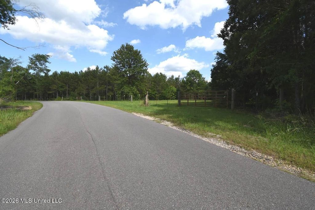 00 Miller Road, Columbia, MS 39429 — photo 4