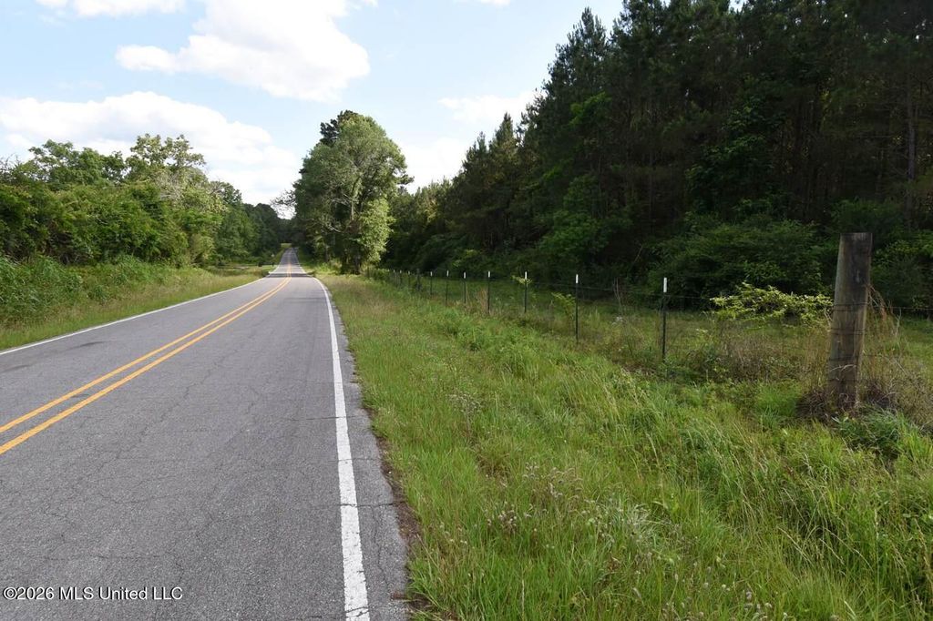 00 Miller Road, Columbia, MS 39429 — photo 5