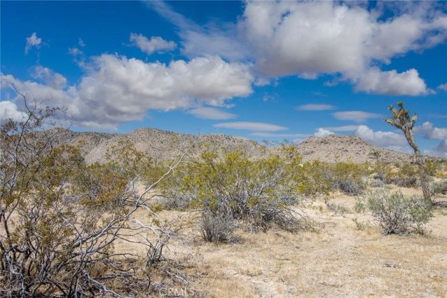 4444 Valley Vista, Johnson Valley, CA 92285