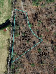 1653 Walshtown Road, Boomer, NC 28606