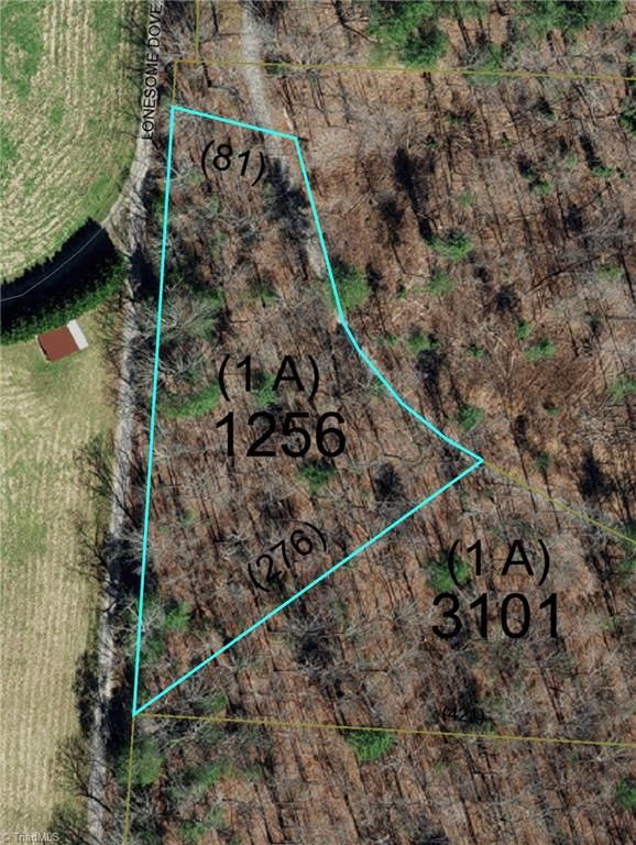 1653 Walshtown Road, Boomer, NC 28606